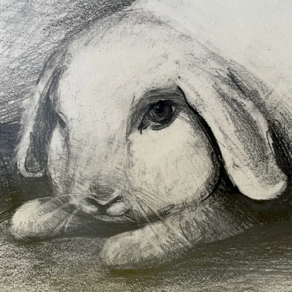 Original pencil drawing on paper